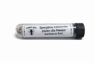 Mieszanka ziaren dla Messor barbarus 5ml. 9 składników!