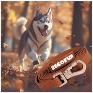 Smycz TRENINGOWA dla PSA BRĄZOWA 10m, WODOODPORNA MOCNA zapięcie z BLOKADĄ