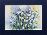 Akwarela pt. Przebiśniegi 7