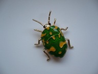 EMALIOWANA BROSZKA ŻUK CHRABĄSZCZ OWAD