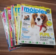 Mój pies i kot nr z lat 2017-2021 16 sztuk