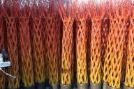 Wierzba pleciona , palma salix 200 cm , producent ,3 witki