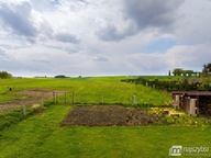 Działka, Rogowo, Radowo Małe, Łobeski, 3001 m²