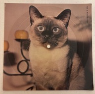 POCZTÓWKA DŻWIĘKOWA WINYL LEŚNE DZWONKI MÓJ KOT A. ZYBIEREWICZ TENPRESS M45