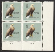 POLSKA - ORZEŁ BIELIK - 1960 - CZYSTE **