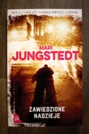 Zawiedzione nadzieje Mari Jungstedt, nowa