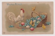 KOGUT kurczaki Niezapominajki ok.1905r. LITOGRAFIA Tłoczona Polska 300s