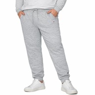 Szare spodnie dresowe męskie duże ocieplane DYNAMIC 3XL