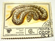 Znaczek pocztowy radziecki 1977 efa piaskowa ZSRR CCCP Rosja Jadowite węże