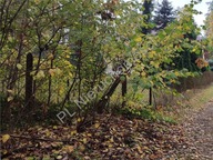 Działka, Strzeniówka, Nadarzyn, Pruszkowski, 5000 m²