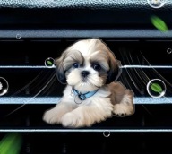 Zapach 2D PIESEK do samochodu na kratkę nawiewu PREZENT