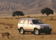 Plakat A3 - Toyota Land Cruiser J80