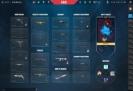 Konto Valorant Dużo skinów