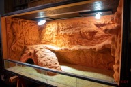 Terrarium pustynne 120×60×62,5 cm