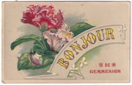Tulipany ? kwiaty 1909r. LITOGRAFIA Politura