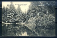 K12008) Belgia: St. Hubert, Etang du Prieur