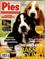 Przyjaciel Pies 6/2008