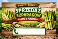 REKLAMA BANER SZPARAGI SPRZEDAŻ SZPARAGÓW 200x100 2x1 C1