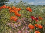 Maki w polu" obraz olejny na płótnie 30x40cm , oryginał Garncarek Al,,,