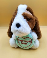 PIES z plastrem na GŁOWIE biedny RANNY skaleczony