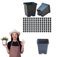 DONICZKI PLASTIKOWE ZESTAW DONICZEK 100 SZTUK KWADRATOWE CZARNE DO ROSADY