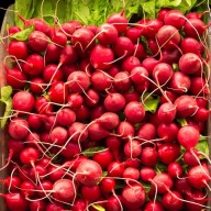 Rzodkiewka Carmen- DUŻA KARMINOWA, SMACZNA ODMIANA