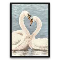 Plakat z ramą 50x70cm Biała miłość na wodzie Łabędzie Jezioro Natura Hit