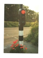 Pocztówka - Sygnalizacja świetlna i maki albo Stop !