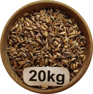 Ostropest Plamisty Konsumpcyjny/Paszowy, od Rolnika, Polski, 20kg, 2025r
