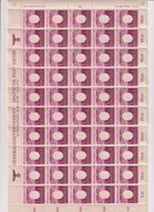 GG Fi 107 arkusz czysty **