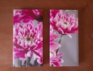 Obraz grafika na płótnie - panele dekoracyjne różowe chryzantemy (2 części)