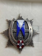 19 PUŁK UŁANÓW WOŁYŃSKICH