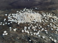 GRYS Lastryko 1/4 mm Biała Marianna