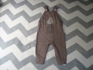 george ogrodniczki miś misiu bear 74