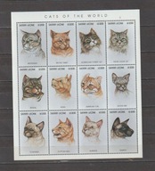 SIERRA LEONE 1996, KOTY