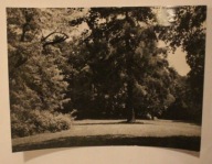 KLEMENSÓW. Fragment parku, CZYSTA, NISKI NAKŁAD - TYLKO 1000 SZTUK, 1964 r.