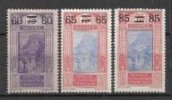 Gwinea fran. x J436 flora góry MH VF