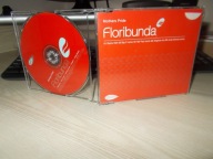 Mothers Pride – Floribunda Singiel