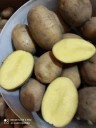 Ziemniaki jadalne od rolnika odmiana LILLY 24 kg