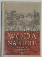 Woda na sicie - Apokryf czarownicy - Anna Brzezińska