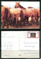 K24724)Karta Zwierzecia: Kon Zimnokrwisty, wyslany
