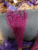 Len naturalny suszony dekoracje zboże susz kwiaty kompozycje fuksja