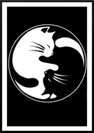 A2 PLAKAT Z KOTEM, CIEKAWY PLAKAT Z KOTAMI, DWA KOTY BIAŁY KOT I CZARNY KOT