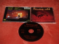 Running Wild The First Years Of Piracy 1991
