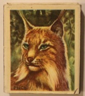 RYŚ - ZAPAŁKI + PUDEŁKO, ROSJA, ZSRR - RYŚ