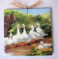 Robótkownia Kafelek obrazek 15x15 Ptak Ptaki Gęsi kaczki z prawej