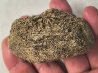 Skamieliny minerały koralowce