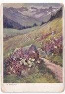 H. Drost Karpaty dróżka wrzosy góry ok.1918r. uszkodzona