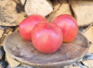 Pomidor Grandfather Martino stara odmiana nasiona kolekcjonerskie