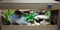 Terrarium dla węża 80x40x40 z wyposażeniem na zamówienie